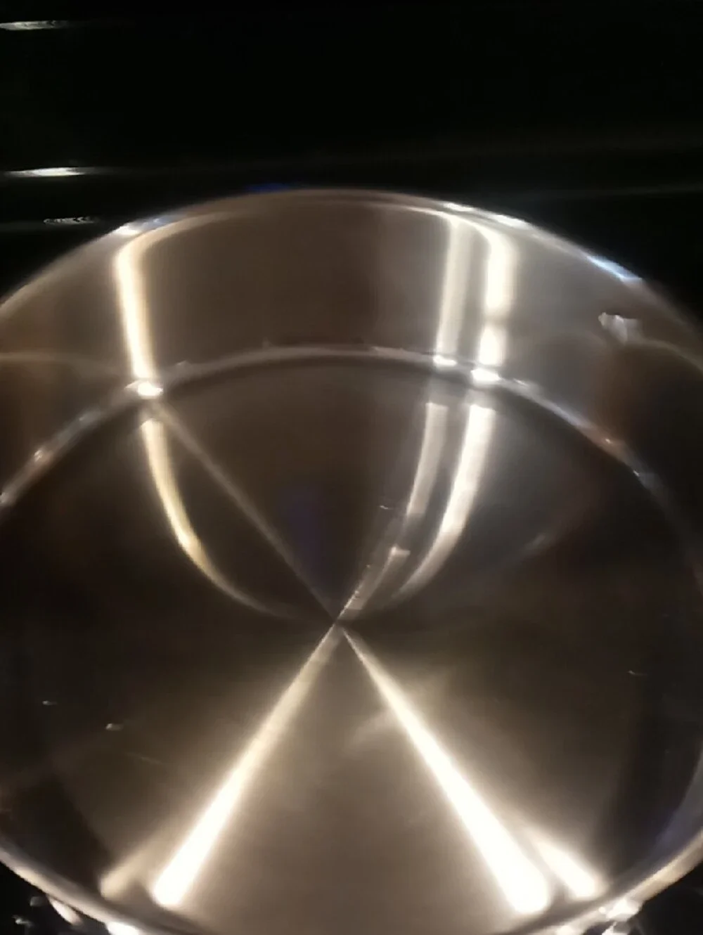 Wolfgang Puck Pan